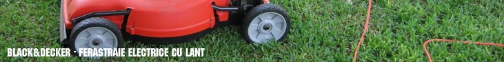 Ferastraie electrice cu lant BLACK&DECKER