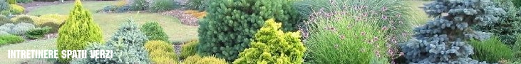 intretinere spatii verzi